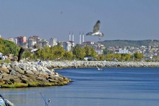 Bostancı Evden Eve Nakliyat